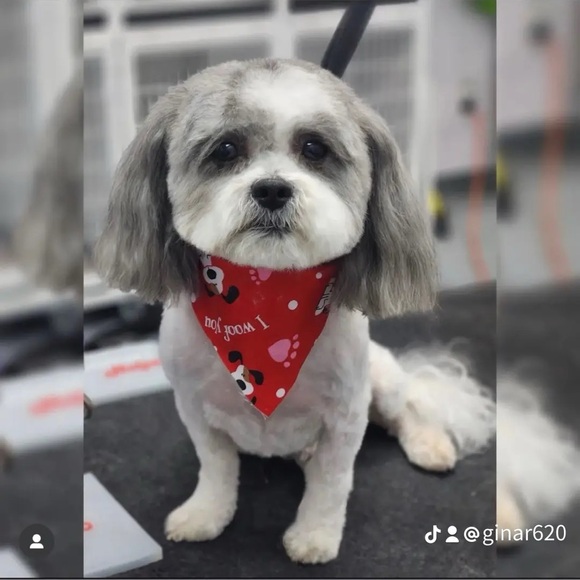 🇵🇷🇵🇷GINAR2812 IS LIVE🇵🇷🇵🇷 
SE HABLA ESPAÑOL!! - Picture 10 of 11